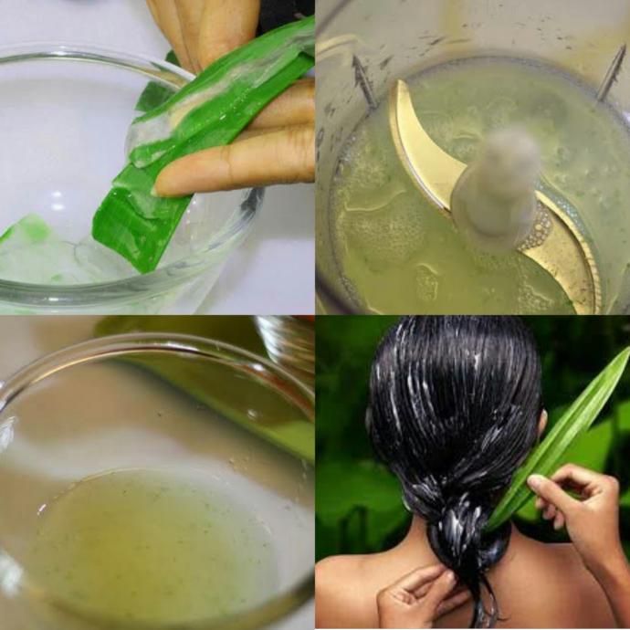 Mısırlıların 'Gençleştiren Bitki' Dedikleri Aloe Vera İle 2 Mucizevi Maske Tarifi!
