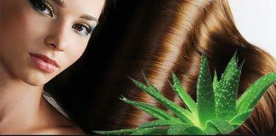 Mısırlıların 'Gençleştiren Bitki' Dedikleri Aloe Vera İle 2 Mucizevi Maske Tarifi!