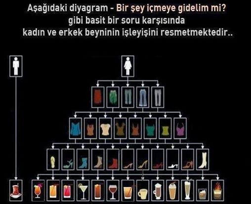 Yalnızlıktan Bunalıp Evliliğe Doğru Yelken Açmak İsteyenlerin Geçtiği Aşamalar ve Bu Uğurda Çektiği Çileler