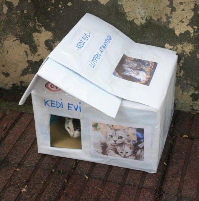 Beni Unutma, Ben Sokakta Sesi Olmayan Canlıyım!
