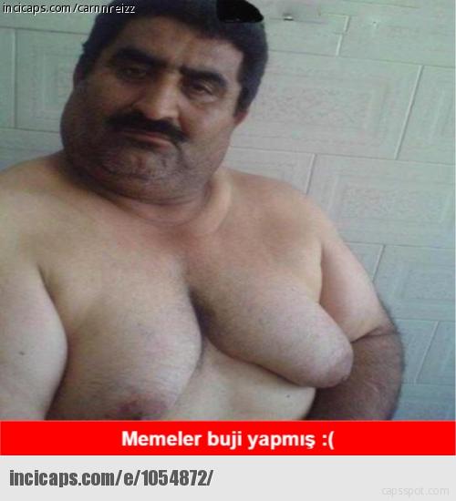 Büyük Memelilerin Yaşadığı Bazı Problemler