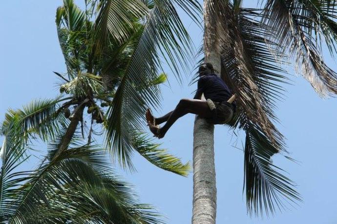 Yaşamak İçin Mükemmel Bir Ada: Zanzibar