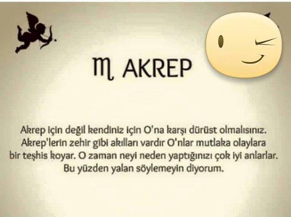 Akrep Erkeğini Hakkında Bilmek İsteyecekleriniz