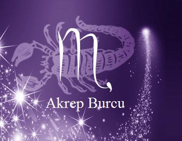 Akrep Erkeğini Hakkında Bilmek İsteyecekleriniz
