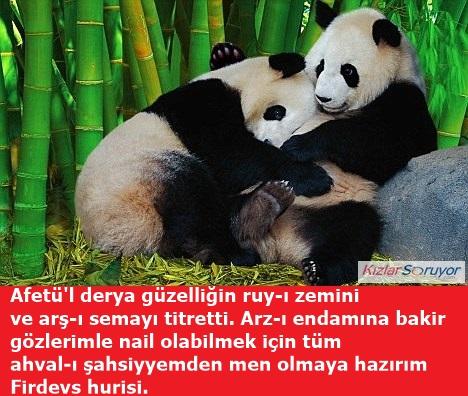 Sosyal İlişkiler Konusunda Pandaların Türk Erkeklerinden Daha Üstün Olduğunun Görselli Kanıtları