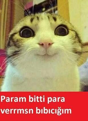 Her Öğrencinin Yaşadığı 5 Büyük Sorun!