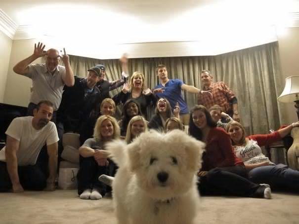 Sahiplerine Yanımıza Almasaydık Dedirtecek, Mükemmel Anları Yok Eden Birbirinden Fırlama Köpekler