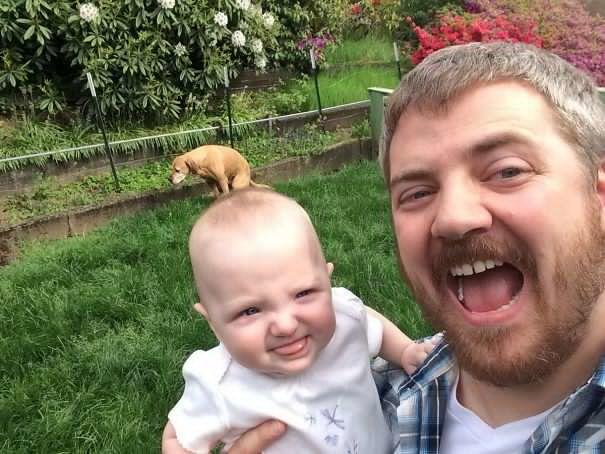Sahiplerine Yanımıza Almasaydık Dedirtecek, Mükemmel Anları Yok Eden Birbirinden Fırlama Köpekler