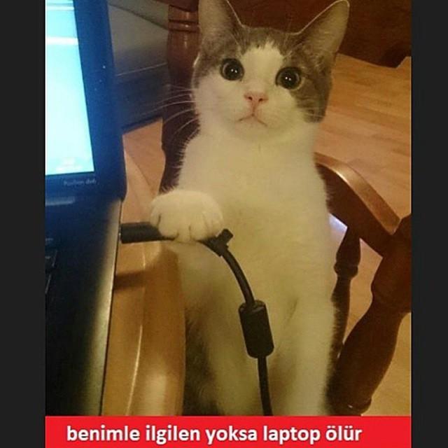 Evliliğinizi Sınayın! Acaba Her Şey Yolunda mı Gidiyor?