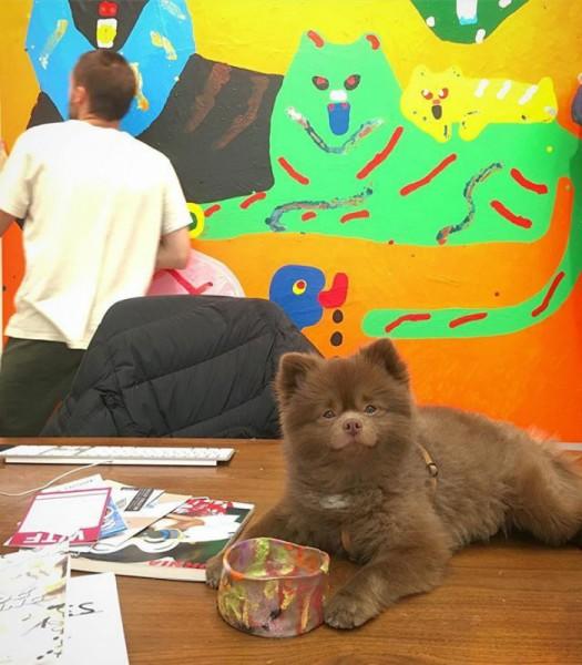 Barınaktan Sanat Camiasına Pati Atan En Minnoş Köpek "Bert" İle Tanışın!