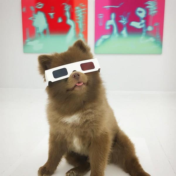 Barınaktan Sanat Camiasına Pati Atan En Minnoş Köpek "Bert" İle Tanışın!