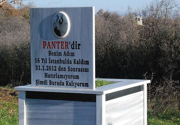 Akademik Unvanların Yampirik Tanımları