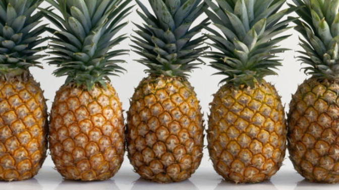 Sen Ne Güzel Şeysin Ananas!