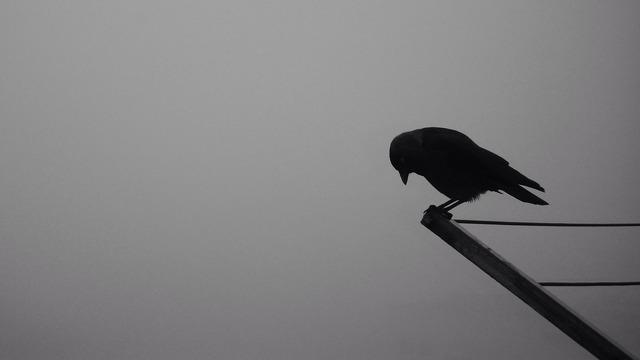 İzlemeniz Gereken Bir Film: The Crow