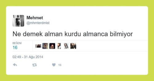 "Ne Demek" Sloganıyla Sorulara Verilen Enteresan Cevaplar