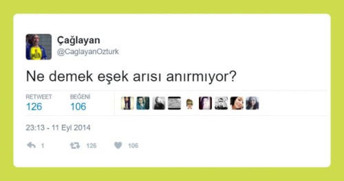 "Ne Demek" Sloganıyla Sorulara Verilen Enteresan Cevaplar