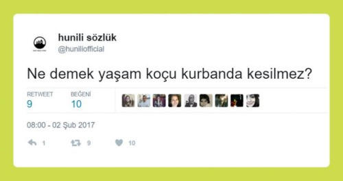 "Ne Demek" Sloganıyla Sorulara Verilen Enteresan Cevaplar