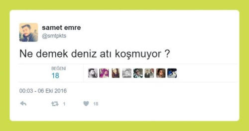 "Ne Demek" Sloganıyla Sorulara Verilen Enteresan Cevaplar