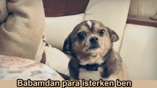 "Paramla Döverim Seni!" Diyen İnsanların Eksantrik Davranışları!
