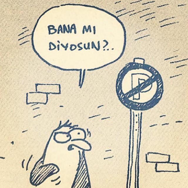 Yengeç Burcunu Diğerlerinden Ayıran Özellikler!