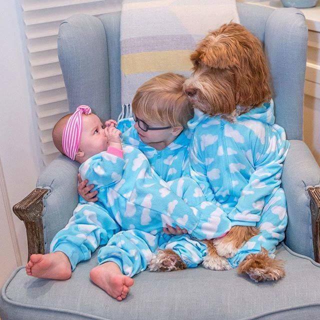 Aman Allah'ım Yoksa Siz Hala Buddy ve Reagen'in Dostluğunu Duymadınız mı? 😍