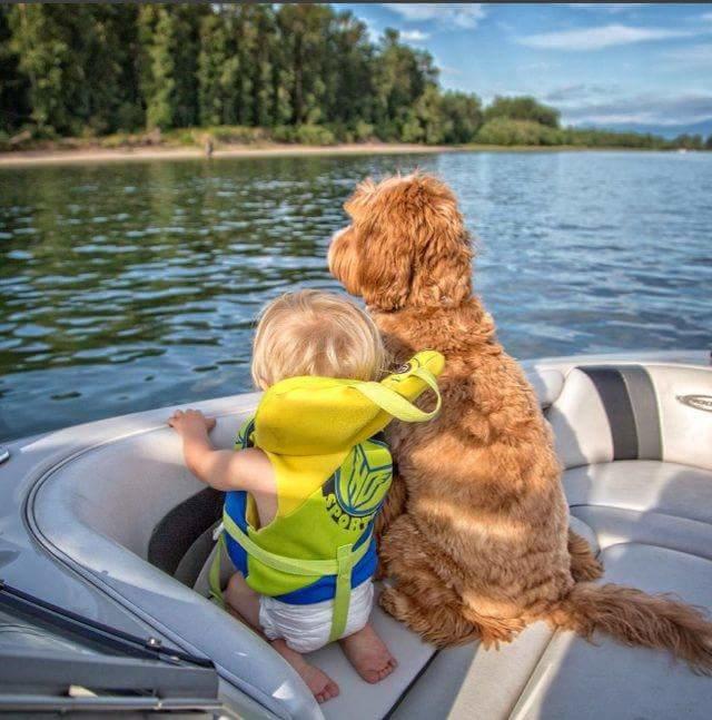 Aman Allah'ım Yoksa Siz Hala Buddy ve Reagen'in Dostluğunu Duymadınız mı? 😍