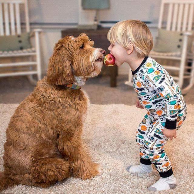 Aman Allah'ım Yoksa Siz Hala Buddy ve Reagen'in Dostluğunu Duymadınız mı? 😍