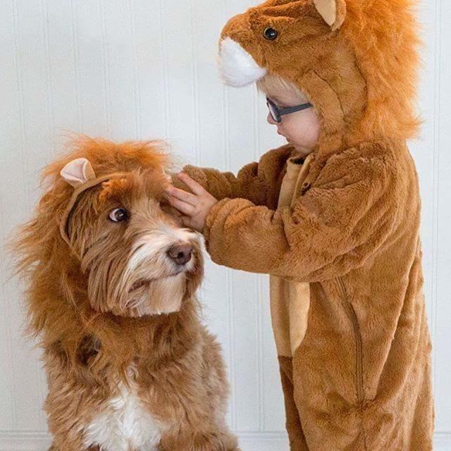 Aman Allah'ım Yoksa Siz Hala Buddy ve Reagen'in Dostluğunu Duymadınız mı? 😍
