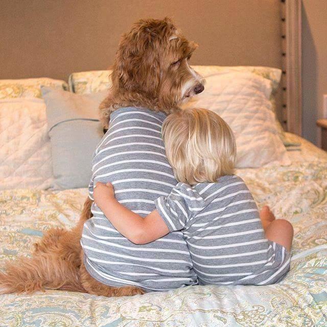 Aman Allah'ım Yoksa Siz Hala Buddy ve Reagen'in Dostluğunu Duymadınız mı? 😍