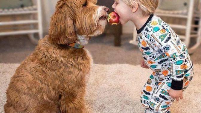 Aman Allah'ım Yoksa Siz Hala Buddy ve Reagen'in Dostluğunu Duymadınız mı? 😍