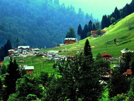 Pembelilere Güzellik Katarken Mavililerin Korkulu Rüyası Olabilecek Bitki Nane!