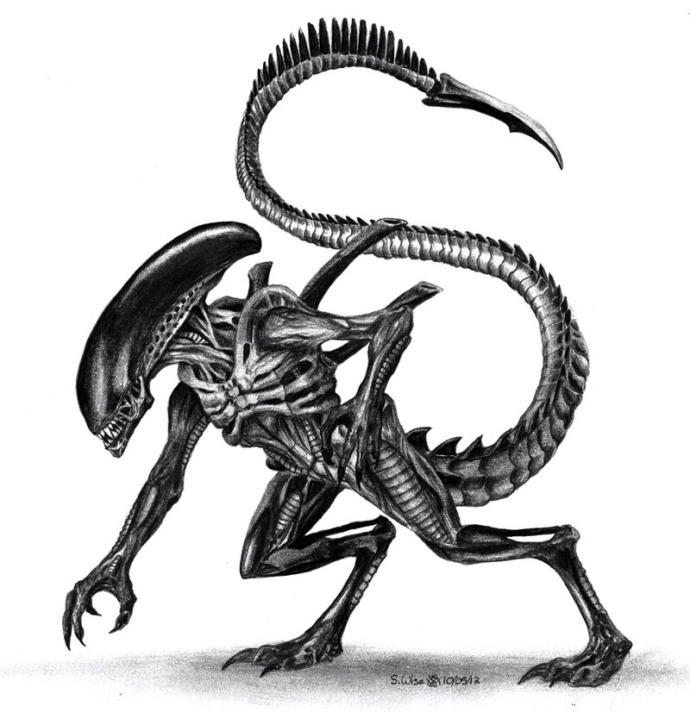 Alien (Xenomorph) Evreni