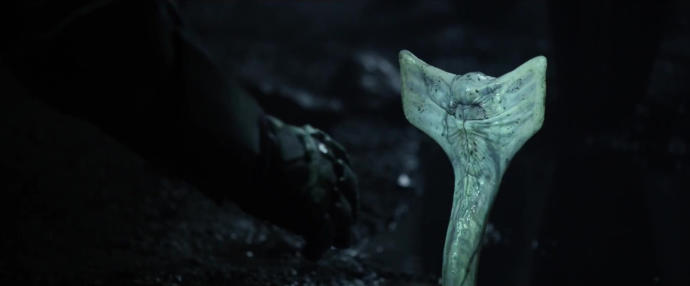 Alien (Xenomorph) Evreni