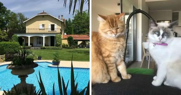 Sevimli Hayvanlara Bakıcılık Yaparak Lüks Villalarda Tatil Yapmaya Ne Dersiniz?
