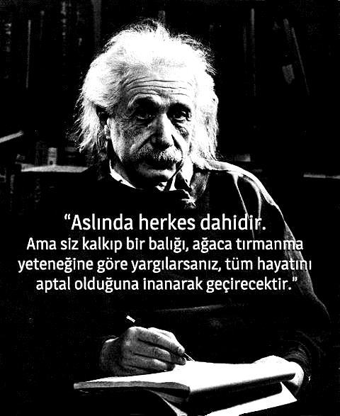 Hep Zekadan Söz Ederiz, Zekanın Gerçek Profillerini Tanıyalım