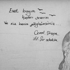 Cemal Süreya'da Tomris'e Bir Aşkın Sonbaharında Kırık Kalbin Dizeleri