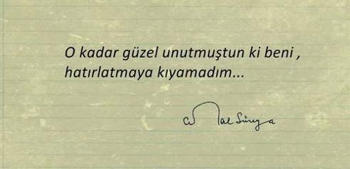Cemal Süreya'da Tomris'e Bir Aşkın Sonbaharında Kırık Kalbin Dizeleri