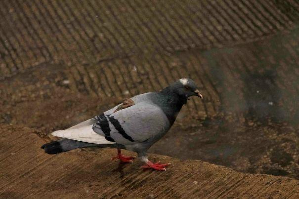 İnsana 'Vay Be! Allah'ın Sopası Yokmuş' Dedirtecek Cinsten Karma Durumları