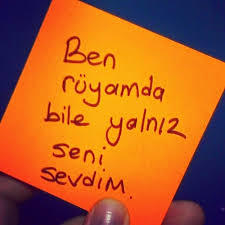 Aşk Tesadüfleri Sever