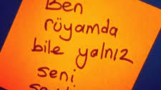 Aşk Tesadüfleri Sever