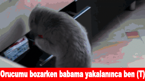 Düşündükçe Güldüren Fakat Yaşaması Zor Ramazan Klasikleri