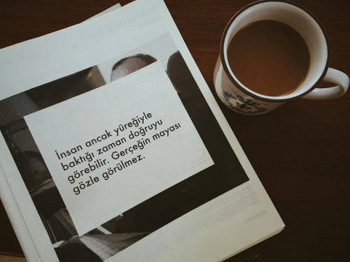 Bir Anda Edebiyata Nasıl Hayran Kalınır?