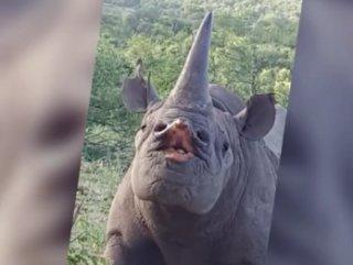 Aklı Fikri Öpmekte Olan Şarkıcıların Kaleminden