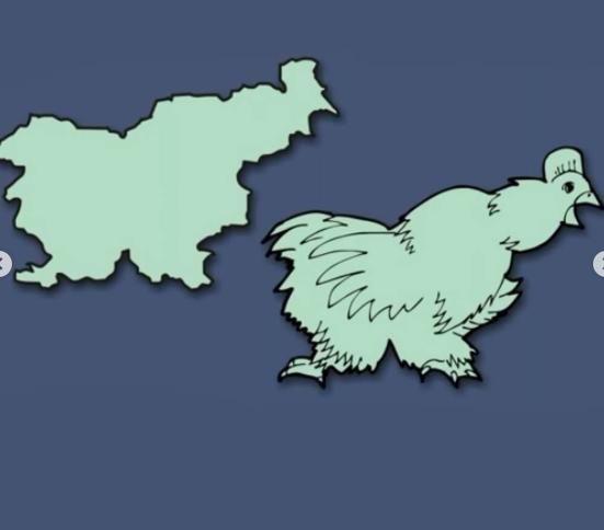 13 Avrupa Ülkesi Sınırlarının Şekillerle Benzerlikleri