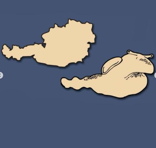 13 Avrupa Ülkesi Sınırlarının Şekillerle Benzerlikleri