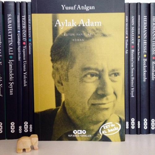Sıradanlığa, Kolaycılığa, Tekdüzeliğe Tahammül Edemeyen Bir Adam,"Aylak Adam" ile Tanışma Serüvenim
