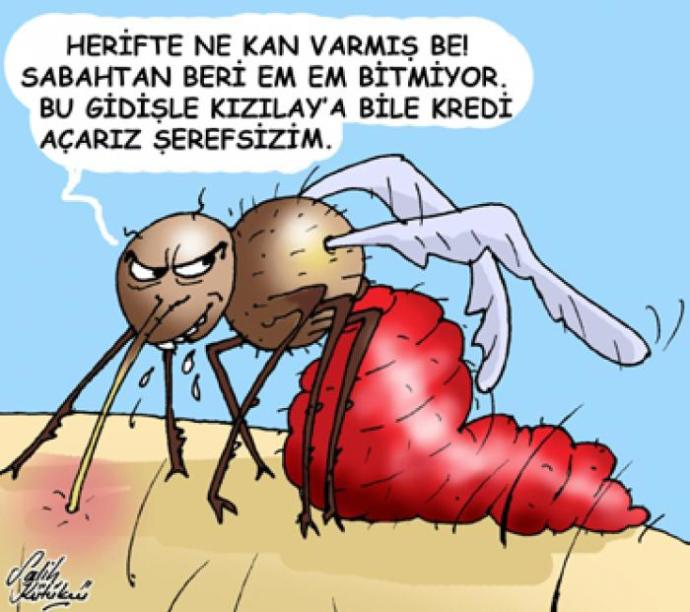 Sivri Sineklerin Ağzını Sulandıran Etkenler: Sizi Çekici Kılan Ne?
