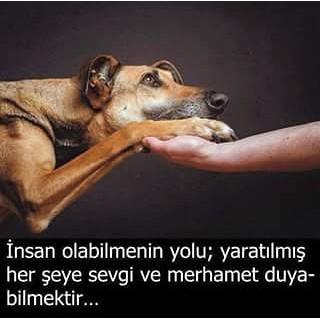 Merhametli İnsanlarla Evlenilir Gönül Eğlendirilmez!