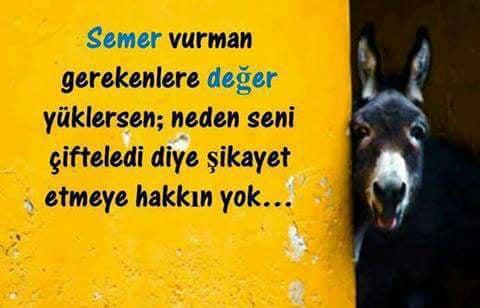 Hep Herkesten Daha İyi Kalarak Sinirlerini Altüst Edecek 8 İnsan Türü!