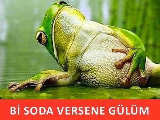Ramazan Ayında Rastlamadığımızda "Kıyamete Az Kaldı" Diyeceğimiz 10 Vaka!